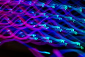 Read more about the article SSL証明書とは何か？ホスティングにおける重要性